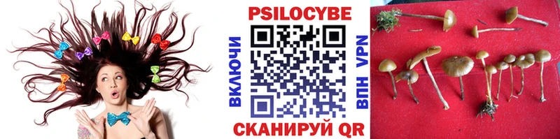 Псилоцибиновые грибы мицелий  площадка как зайти  Пушкино 