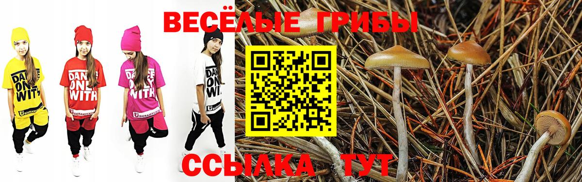 Пушкино  A PVP СОЛЬ   ЭКСТАЗИ  Вход с VPN  Марихуана  Мефедрон кристаллы  АМФ   ГАШИШ  Кетамин 