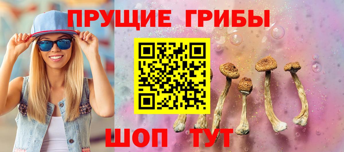 Псилоцибиновые грибы Psilocybine cubensis  Вход с VPN  Галлюциногенные грибы прущие грибы  Пушкино 